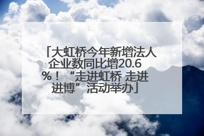大虹桥今年新增法人企业数同比增20.6%！“走进虹桥 走进进博”活动举办