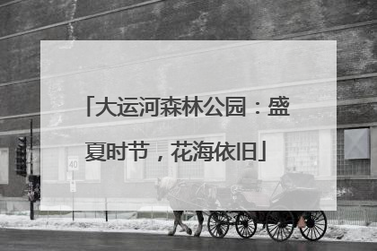大运河森林公园：盛夏时节，花海依旧