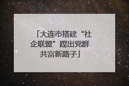 大连市搭建“社企联盟”蹚出党群共富新路子