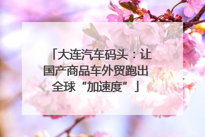 大连汽车码头：让国产商品车外贸跑出全球“加速度”