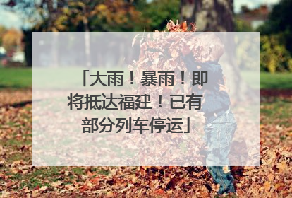 大雨！暴雨！即将抵达福建！已有部分列车停运
