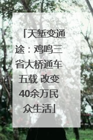 天堑变通途：鸡鸣三省大桥通车五载 改变40余万民众生活