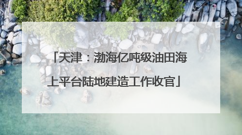 天津：渤海亿吨级油田海上平台陆地建造工作收官