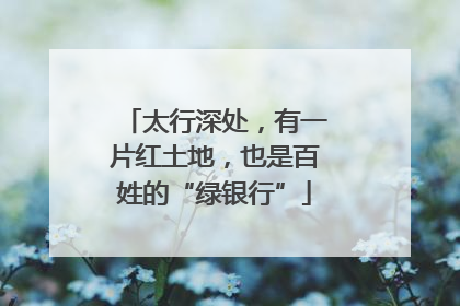 太行深处，有一片红土地，也是百姓的“绿银行”