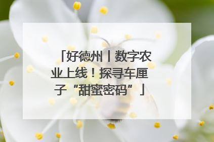 好德州丨数字农业上线！探寻车厘子“甜蜜密码”