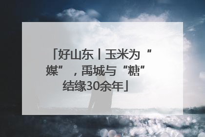 好山东丨玉米为“媒”，禹城与“糖”结缘30余年