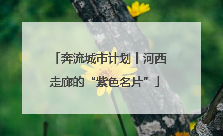 奔流城市计划丨河西走廊的“紫色名片”