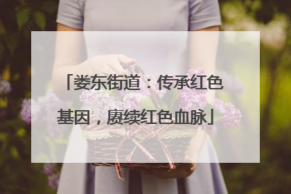 娄东街道：传承红色基因，赓续红色血脉
