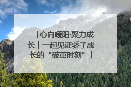 心向暖阳·聚力成长｜一起见证骄子成长的“破茧时刻”
