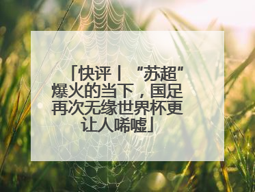 快评丨“苏超”爆火的当下，国足再次无缘世界杯更让人唏嘘