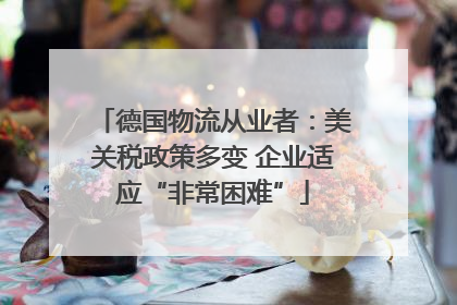 德国物流从业者：美关税政策多变 企业适应“非常困难”