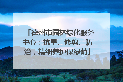 德州市园林绿化服务中心：抗旱、修剪、防治，精细养护保绿荫