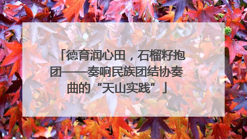 德育润心田，石榴籽抱团——奏响民族团结协奏曲的“天山实践”