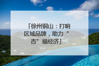 徐州铜山：打响区域品牌，助力“杏”福经济