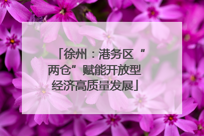 徐州：港务区“两仓”赋能开放型经济高质量发展