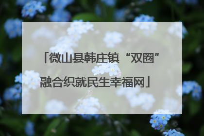 微山县韩庄镇“双圈”融合织就民生幸福网