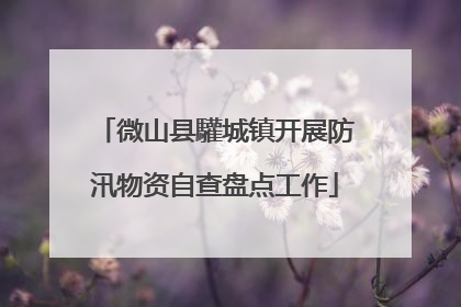 微山县驩城镇开展防汛物资自查盘点工作