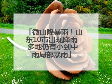 微山降暴雨！山东10市出现降雨 多地仍有小到中雨局部暴雨