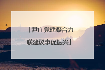 尹庄党建凝合力 联建议事促振兴