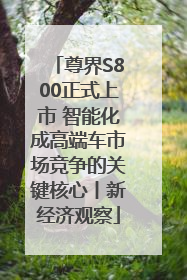 尊界S800正式上市 智能化成高端车市场竞争的关键核心丨新经济观察