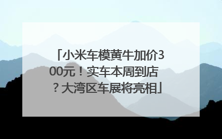 小米车模黄牛加价300元！实车本周到店？大湾区车展将亮相