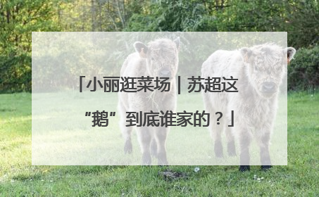 小丽逛菜场｜苏超这“鹅”到底谁家的？