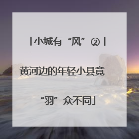 小城有“风”②丨黄河边的年轻小县竟“羽”众不同