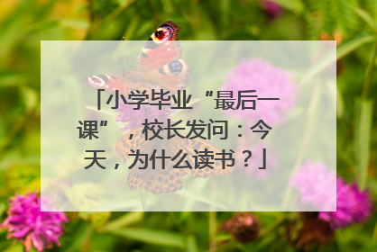小学毕业“最后一课”，校长发问：今天，为什么读书？