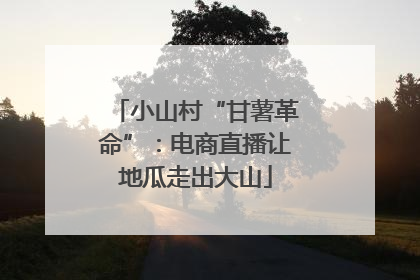 小山村“甘薯革命”：电商直播让地瓜走出大山