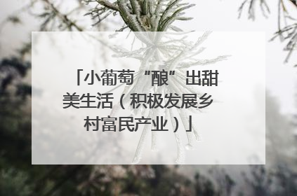 小葡萄“酿”出甜美生活（积极发展乡村富民产业）