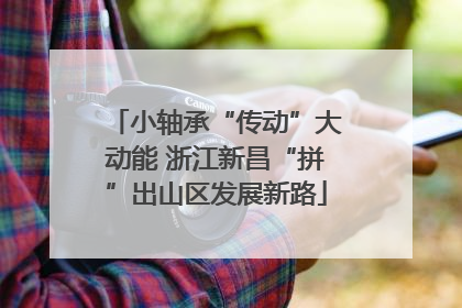 小轴承“传动”大动能 浙江新昌“拼”出山区发展新路