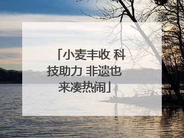 小麦丰收 科技助力 非遗也来凑热闹