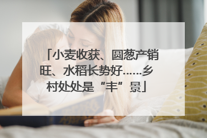 小麦收获、圆葱产销旺、水稻长势好……乡村处处是“丰”景