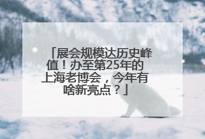 展会规模达历史峰值！办至第25年的上海老博会，今年有啥新亮点？