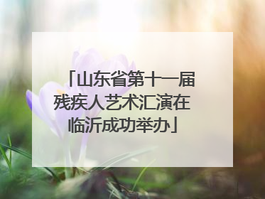 山东省第十一届残疾人艺术汇演在临沂成功举办