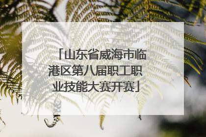 山东省威海市临港区第八届职工职业技能大赛开赛