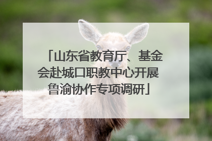 山东省教育厅、基金会赴城口职教中心开展鲁渝协作专项调研