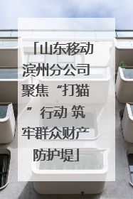 山东移动滨州分公司聚焦“打猫”行动 筑牢群众财产防护堤