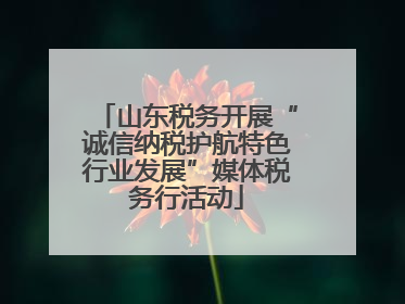 山东税务开展“诚信纳税护航特色行业发展”媒体税务行活动