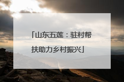 山东五莲：驻村帮扶助力乡村振兴
