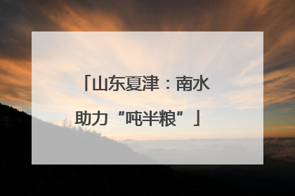 山东夏津：南水助力“吨半粮”
