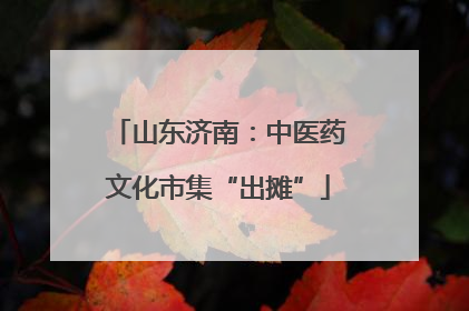 山东济南：中医药文化市集“出摊”