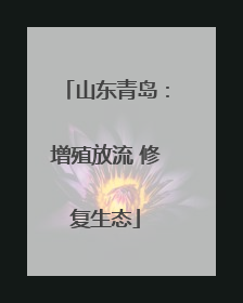 山东青岛：增殖放流 修复生态