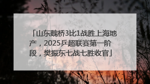 山东魏桥3比1战胜上海地产，2025乒超联赛第一阶段，樊振东七战七胜收官