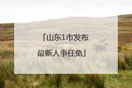 山东1市发布最新人事任免