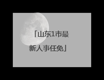 山东1市最新人事任免