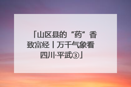 山区县的“药”香致富经丨万千气象看四川·平武③