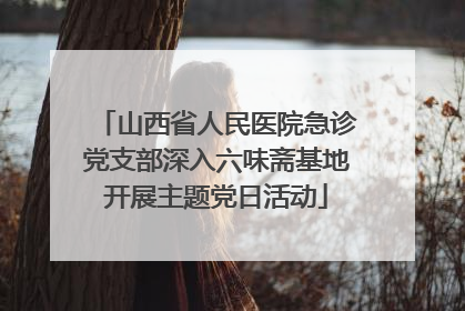 山西省人民医院急诊党支部深入六味斋基地开展主题党日活动