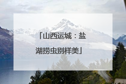 山西运城：盐湖捞虫别样美