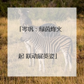 岑巩：绿茵烽火起 跃动展英姿